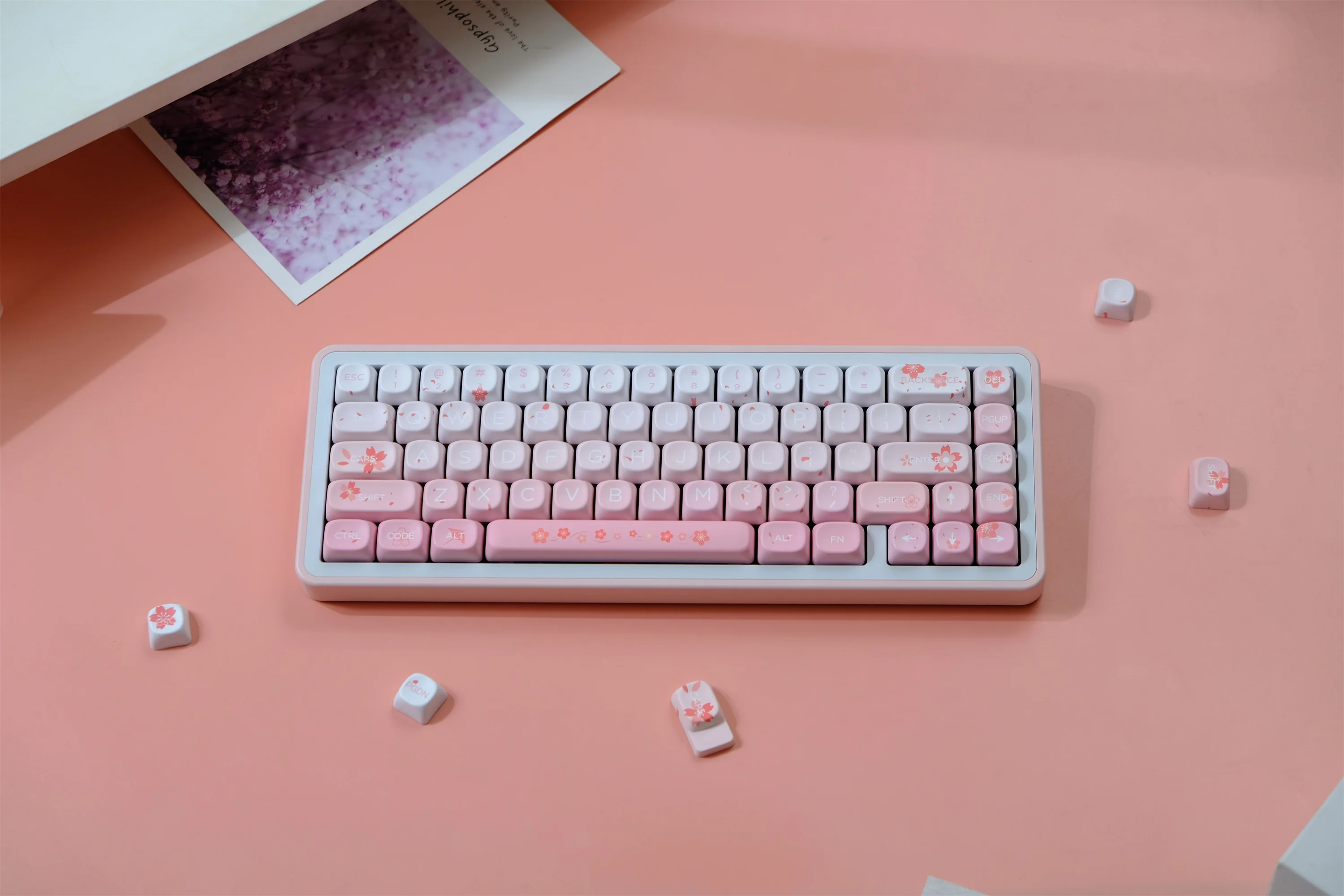 Falling Cherry 132 Keys Keycaps PBT Material MOA Profile DYE-SUB Personalized For CHERRY MX Switch Alice Mechanical Keyboard