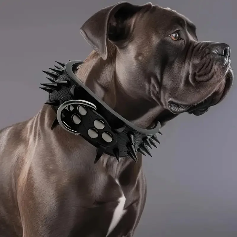 Thumbnail 2 - #29 Best Adjustable Pet Collars to Buy In 2026