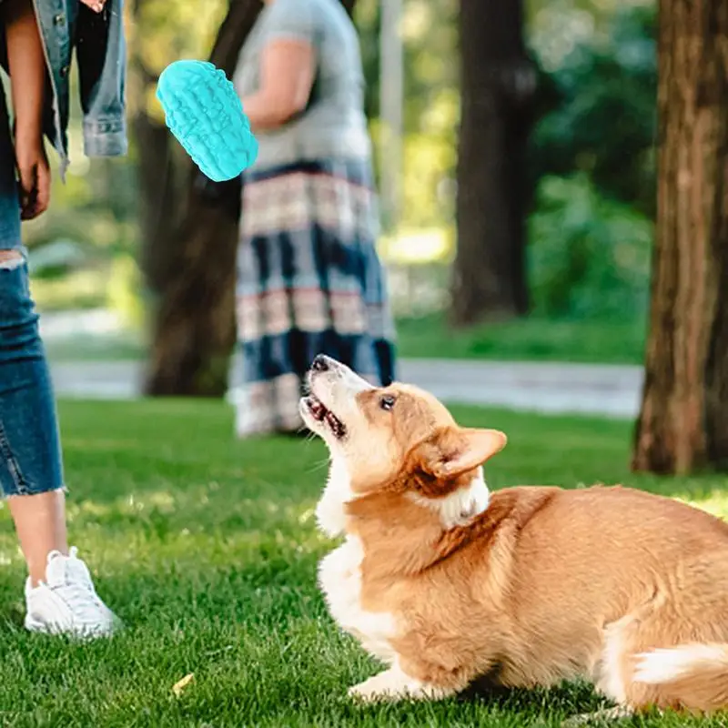 Dog Enrichment Chew Toy Bitter Gourd Shape Interactive Puzzle Ball Dog Chew Toy Indestructible Rubber Slow Feeder Tough Puzzle