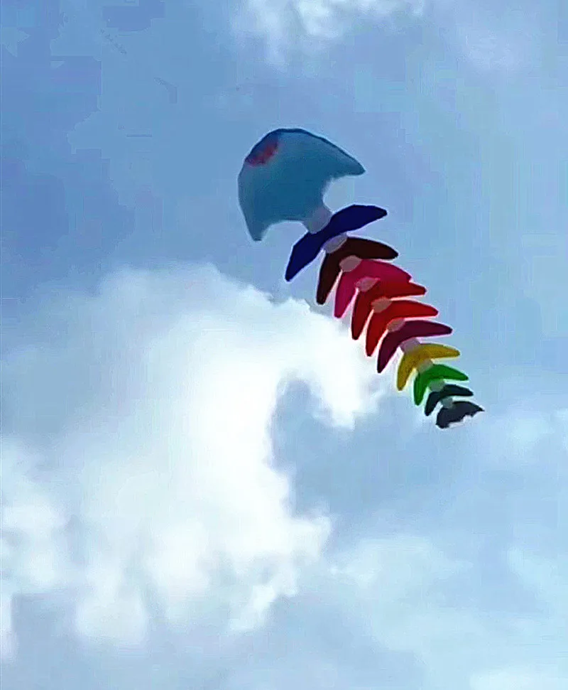 Free shipping fishbone soft kites pendant flying fish kites adults kites inflatable large kite outdoor toy giant kites to fly