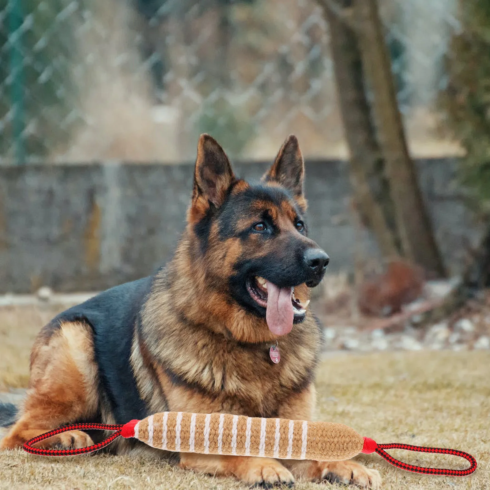 

Chew Bite Tug For Medium Dogs Dental Health Puppy Grinding Training Molar Accessories For Medium Dog Stick Dog