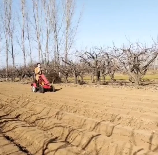 7.5hp Automatic Self-Propelled Corn Sheller Large Automatic Feeding Corn Thresher Maize Threshing Seeder Seeders Transplanters