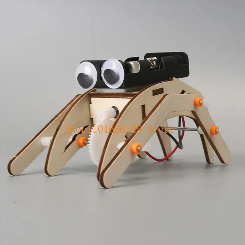 5asd Kids Educational Science Project Wooden Insect Device DIY Assembly Physics Learning Creative Experiment
