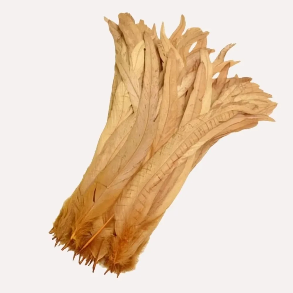 20Pcs Decorative Feather Plumes Rooster Tail Feathers Natural Feather Firm Quill Natural Rooster Feathers Smooth Surface