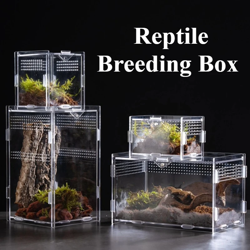 

Reptile Terrarium Breeding Tank Reptile Acrylic Feeding Box Spider Scorpion Bearded Dragon Habitat EnclosureTank Starter Kit
