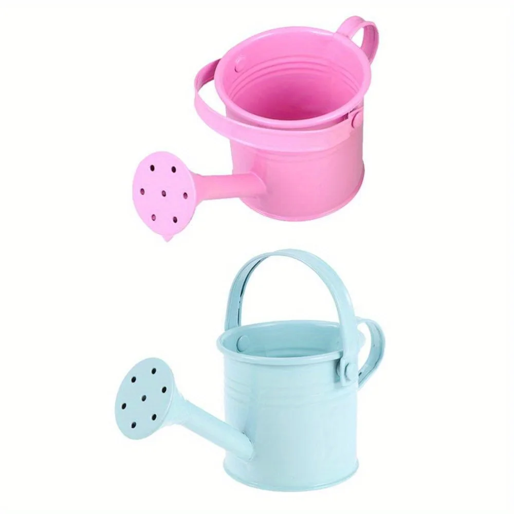 

2pcs Gardening Iron Sheet Watering Pots Long Spout Succulents Watering Kettle