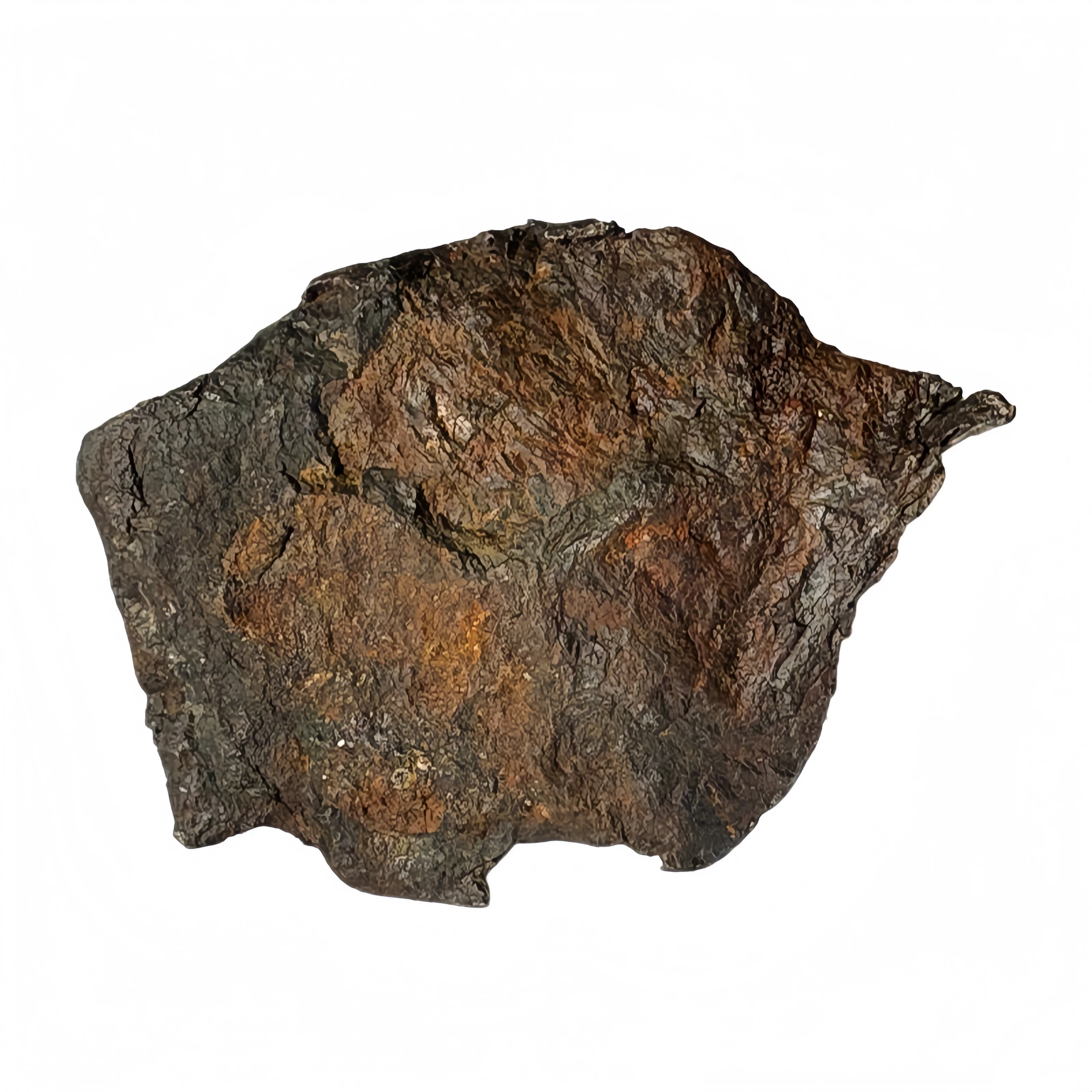 237g Raw Meteorite Specimen: Authentic Iron Meteorite,  Muonionalusta   raw stone TC745