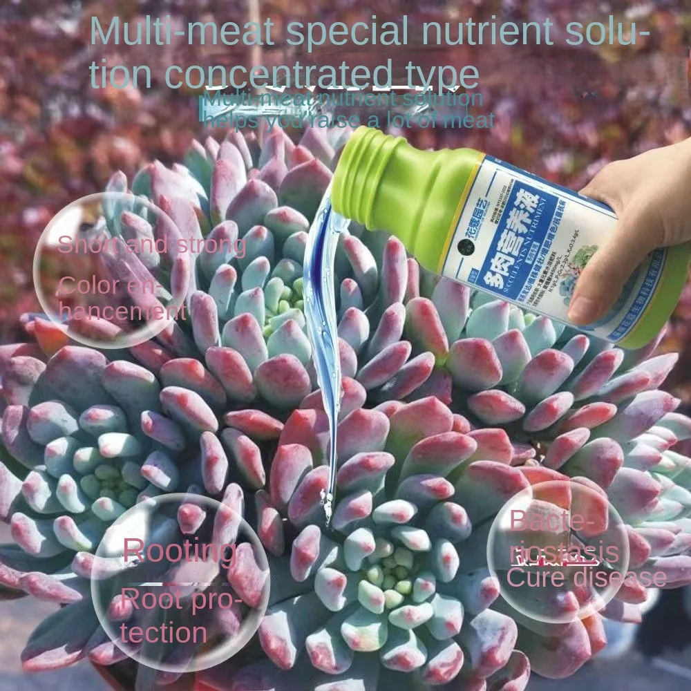 Succulent plant nutrient Solution 500ml to promote root and color flower pot compound fertilizer