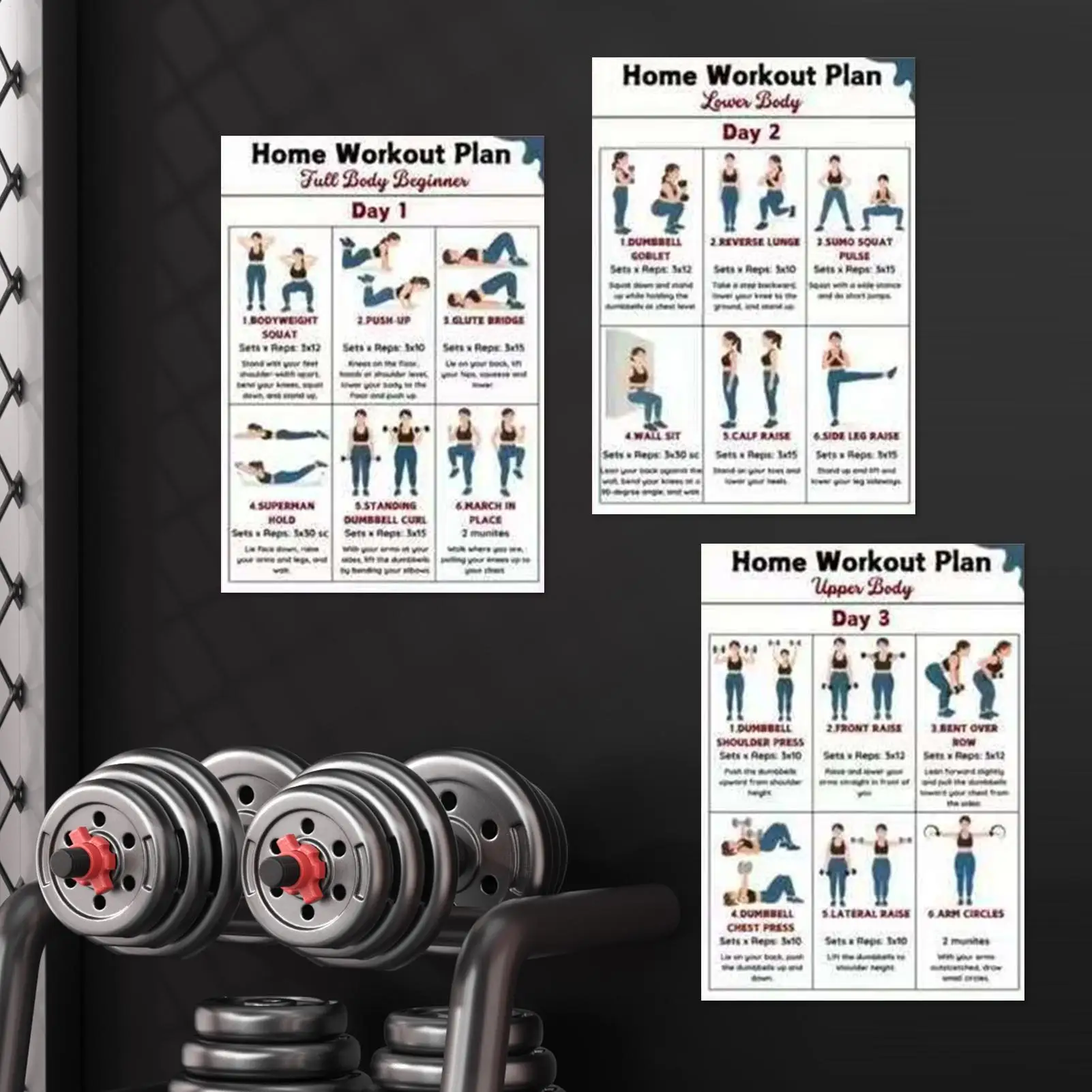 Exercise Posters 6 Pieces Full Body Home Gym Fitness Guide Yoga Dumbbell Stretching Workout Poster for Dorm Office Apartment