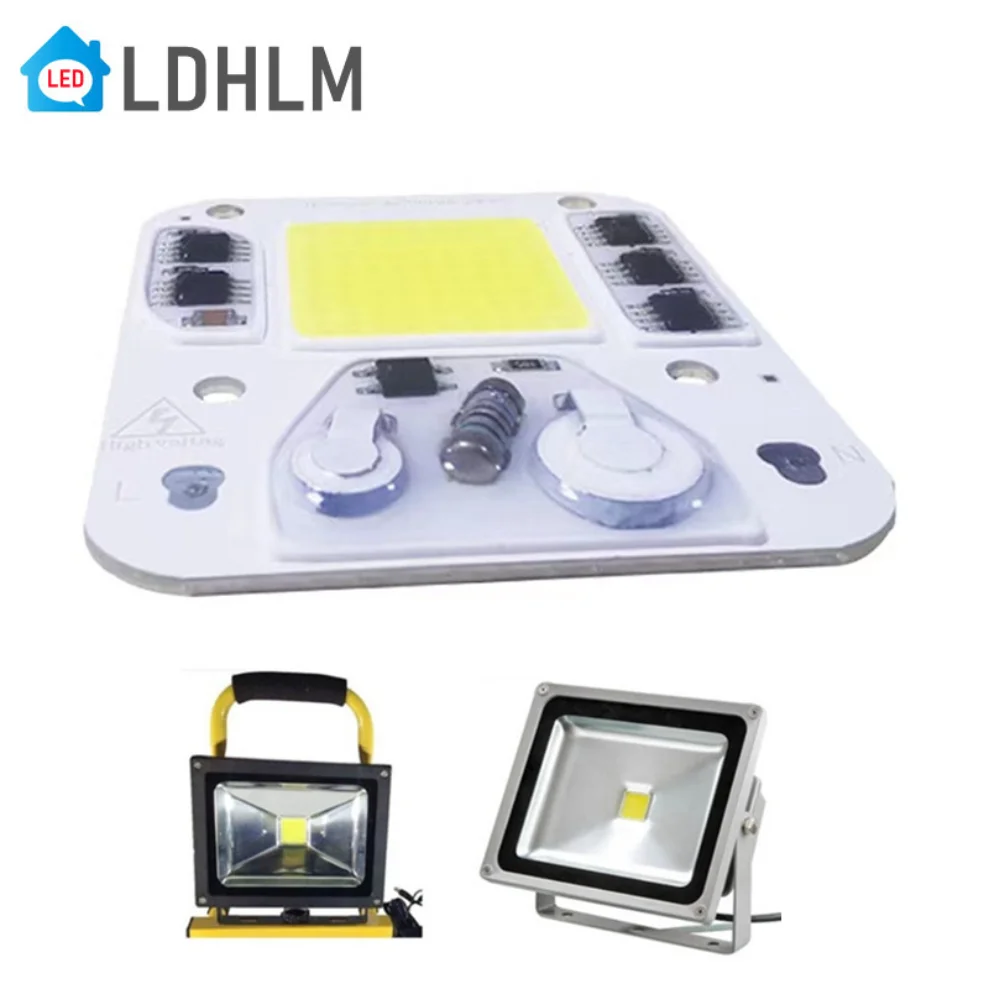 Manik-manik lampu COB LED 20W 30W 50W AC 220V 240V IP65 IC pintar tidak perlu Driver DIY lampu sorot bohlam Led lampu Chip luar ruangan