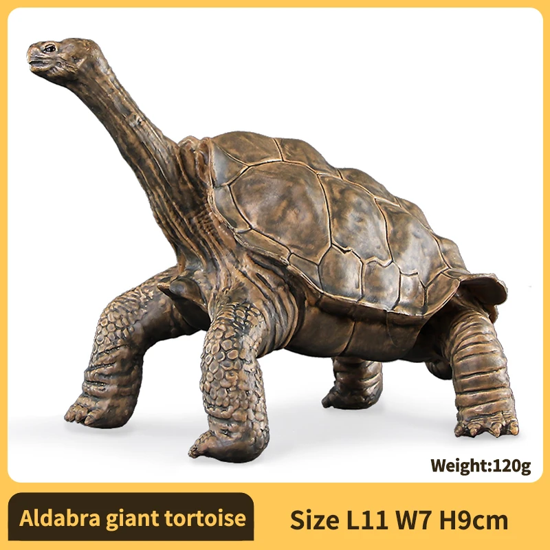 PVC-schildpadfiguren Dierenvorm Gedetailleerde sculptuur Ster-schildpadmodelfiguren Actiefiguren Voor educatief doel