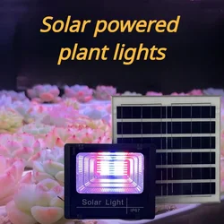 LED Solar Grow Light para Plantas, Lâmpada Phyto Lâmpada de Espectro Completo Lâmpada Hidropônica, Estufa, Tenda de Crescimento de Sementes de Flores IP66, 200W