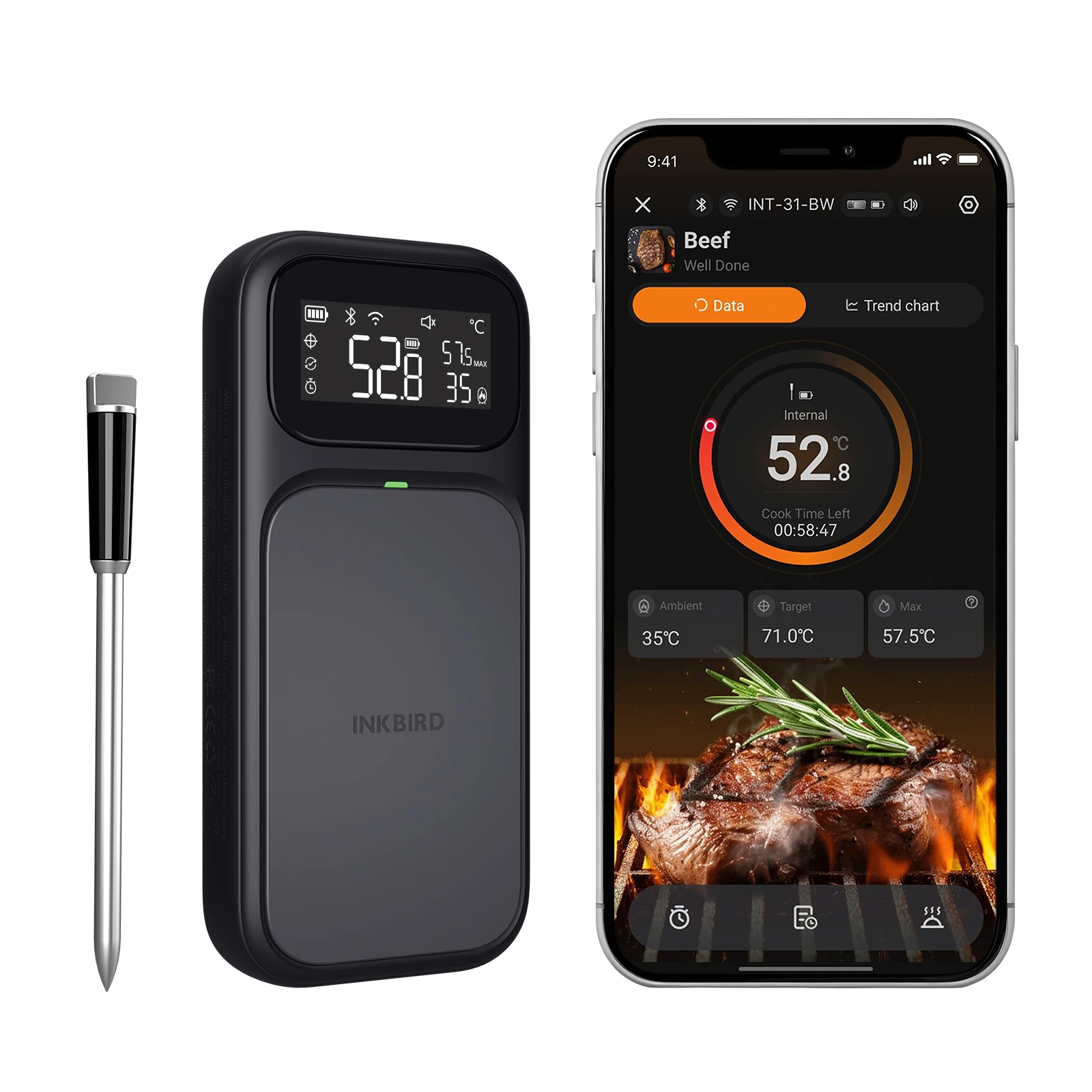 Inkbird int-31-bw wireless meat thermometer WiFi Bluetooth dual connection food thermometer with multi-sensing temperature probe