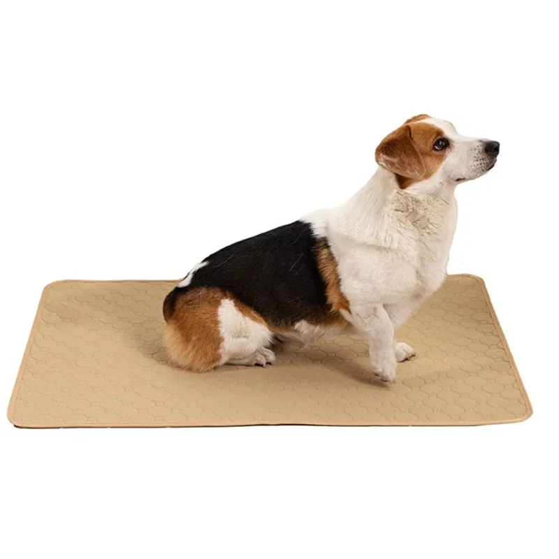 Dog Training Pad Washable Pet Pee Mat Super Absorbent Non-Slip Puppy Crate Mat Reusable Incontinence Pads for Dogs Cats Rabbit