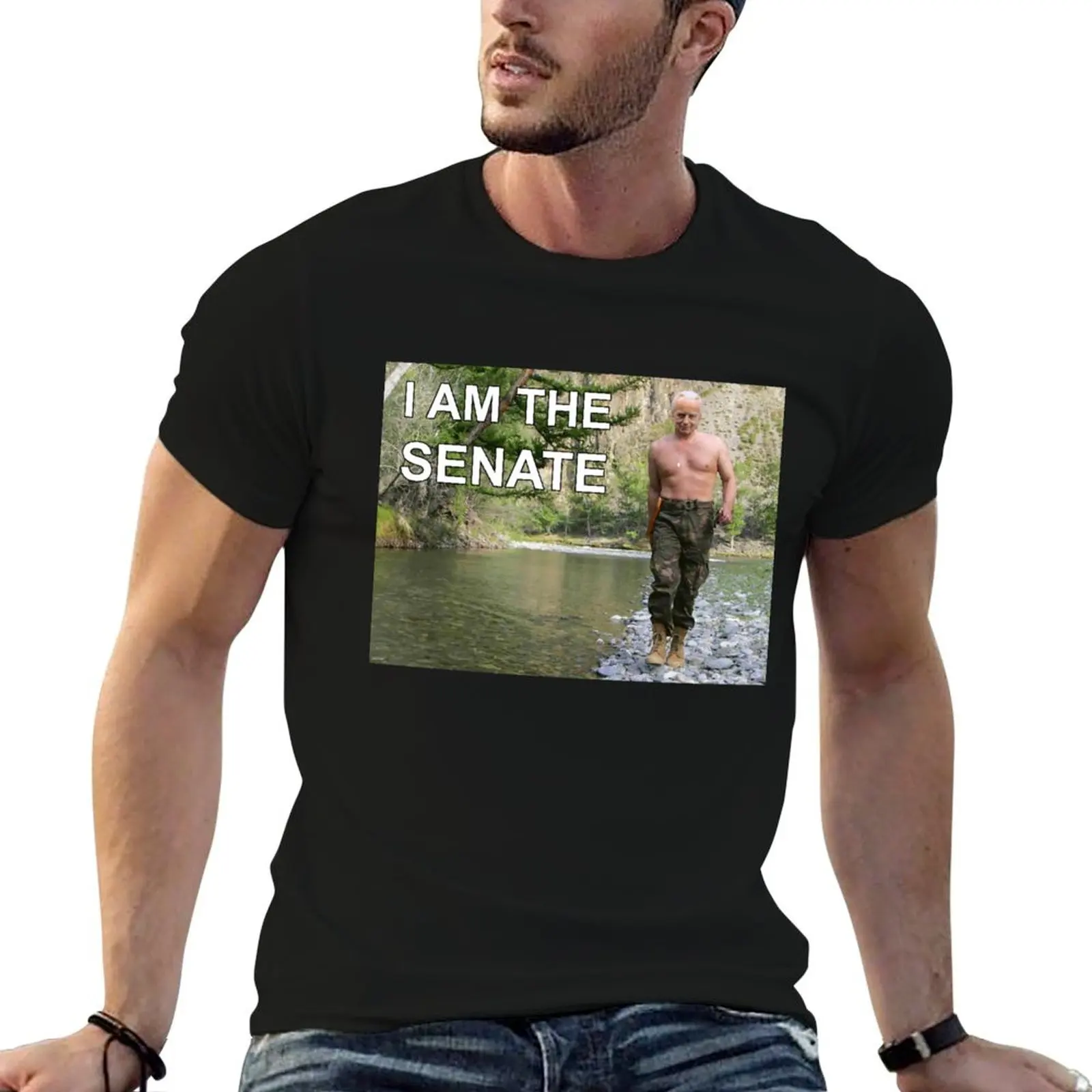 I am the senate T-Shirt Funny t-shirt plus sizes men clothes