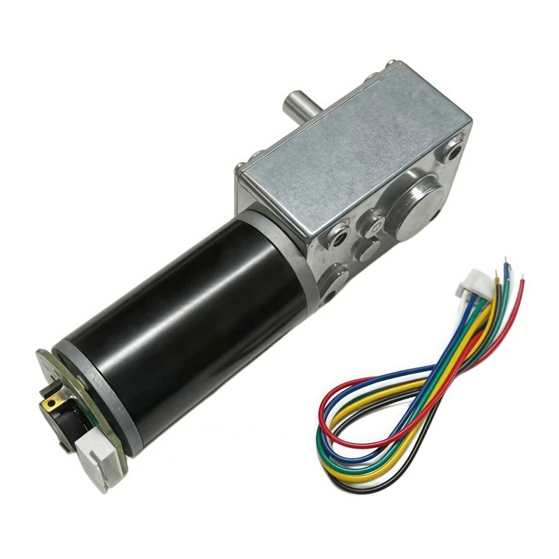 5840-31zy Miniature DC Speed Reducer Motor 12V 24V High-Torque Right-Angle Worm Gear Worm Motor with Speed Control and Encoder