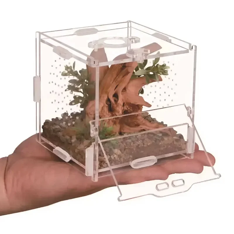 Acrylic Rectangle Foldable Reptile Terrarium Small Sized for Tarantula Mantis and Jumping Spider