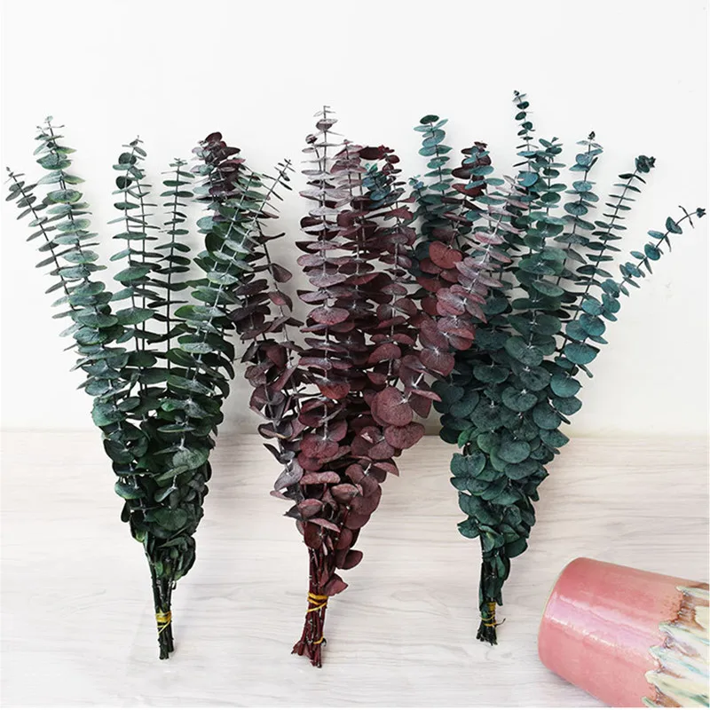 

Eucalyptus Green, Red, Dark Blue Dried Flowers Round Leaves About 35cm Long Rustic Bedroom Decorations 10pcs/Lot Bouquet