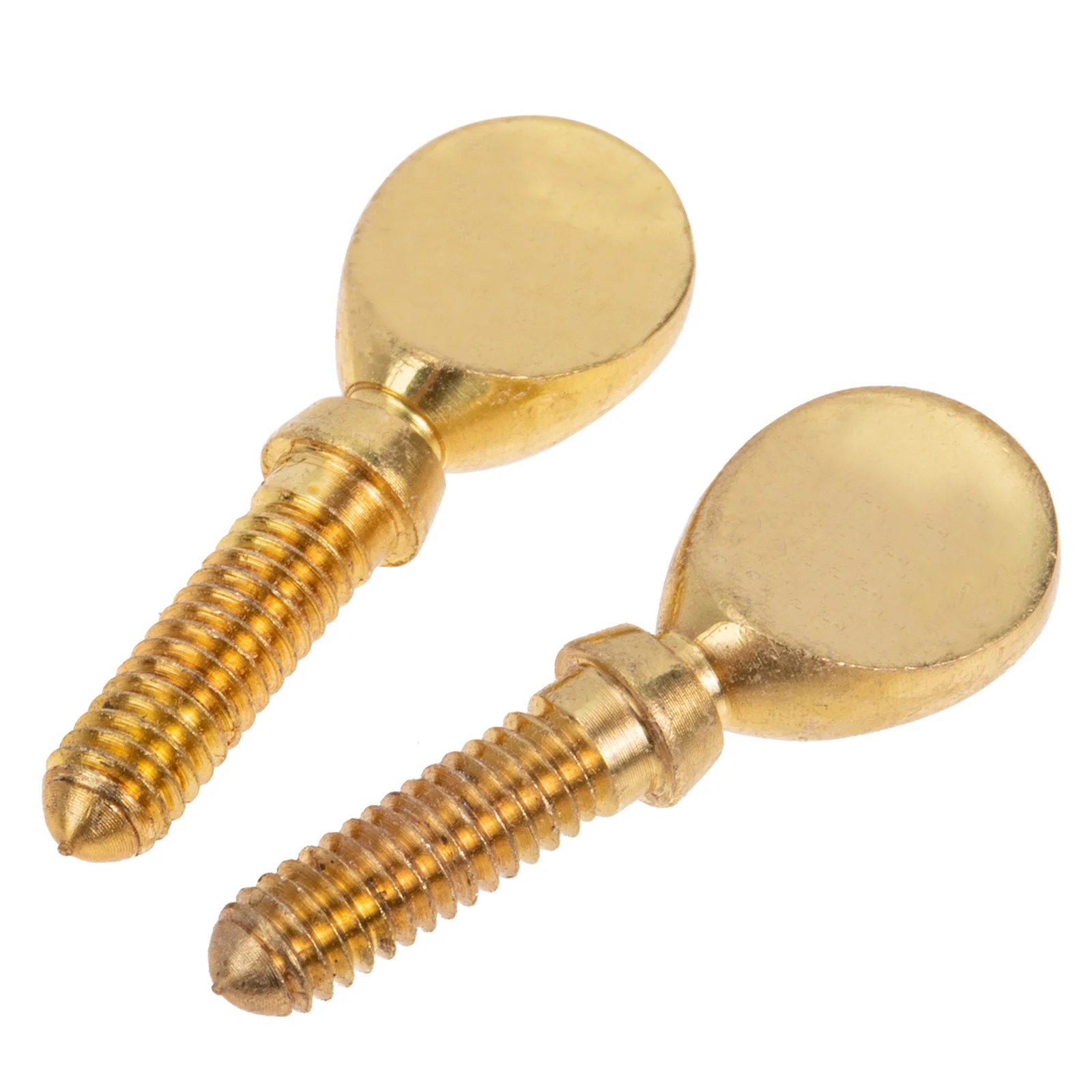 

2pcs Head Golden Instrument Parts Heads Repairing Supplies Accessories Durable Repair Supplies Flute Flute Screws Hardware