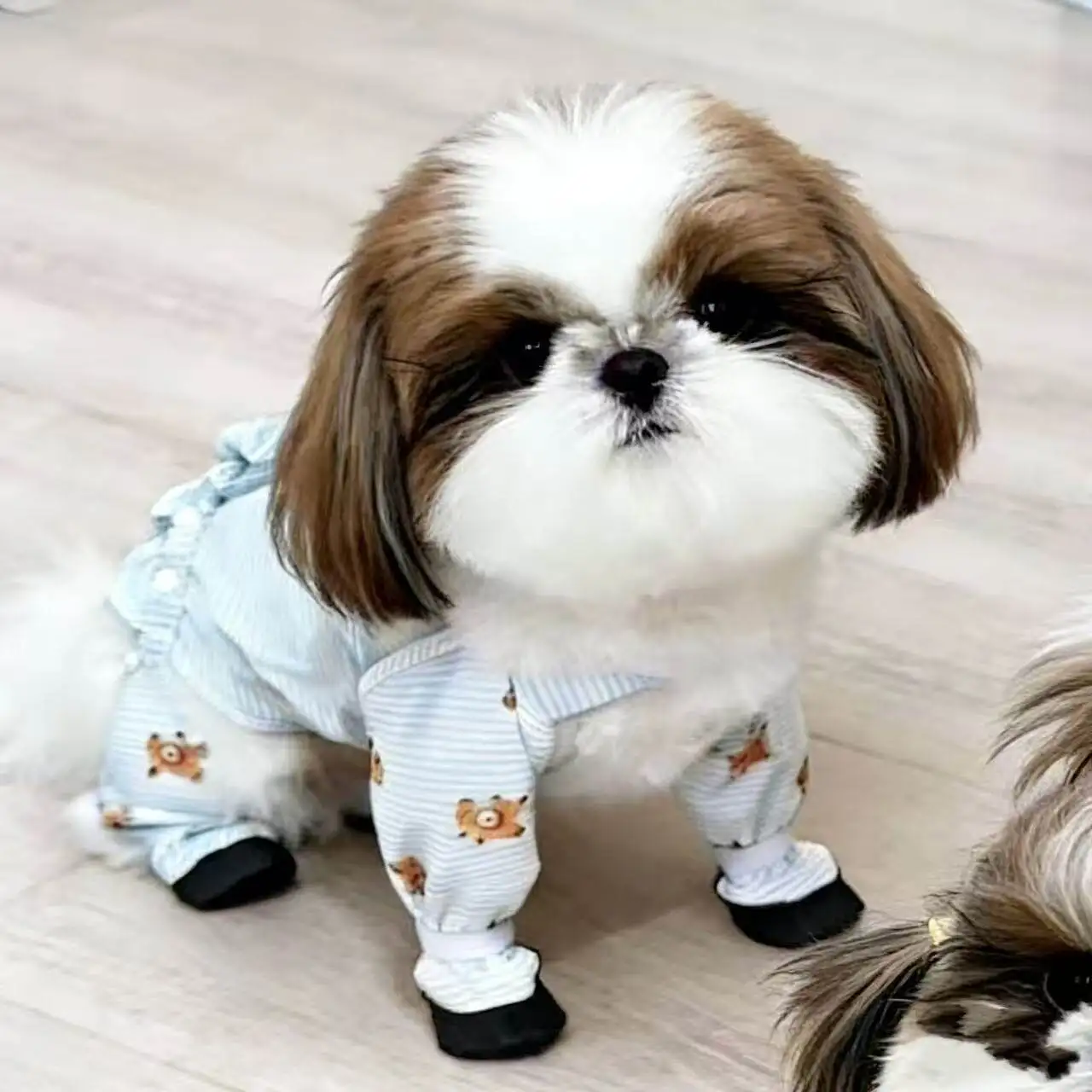 Pantalones antipolvo impermeables a rayas para perros pequeños - imagen 2