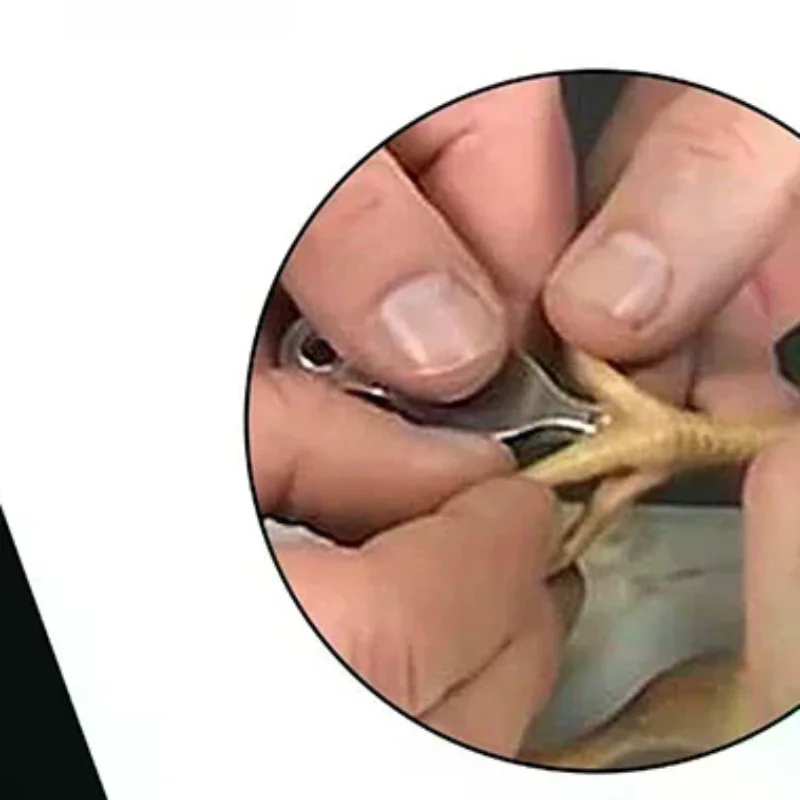 Chicken Toe Punch - Permanent Identification Tool For Chicks, Ducklings & Mice, Ear Tagging & Toe Marking
