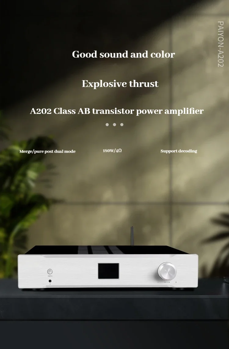 PAIYON A202 integrated audio power amplifier pure post-stage hifi fever amplifier with decoding