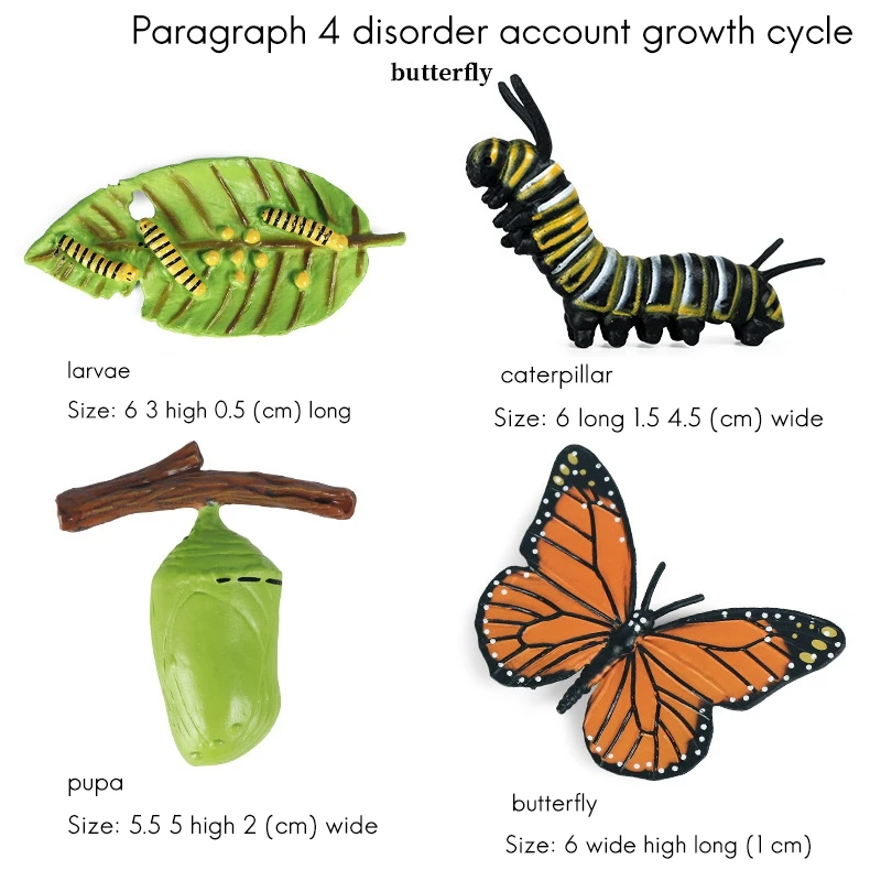 Figura del ciclo de vida de simulación AM de un ciclo de crecimiento de mariposa, insectos, animales, biología educativa, juguete científico