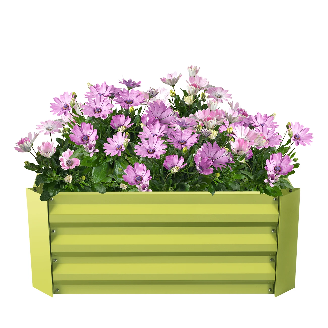 4 ft. x 4 ft. Raised Garden Bed Metal Planter Box Steel for Vegetable Flower Bed Kit Fruit Green Planting Bed