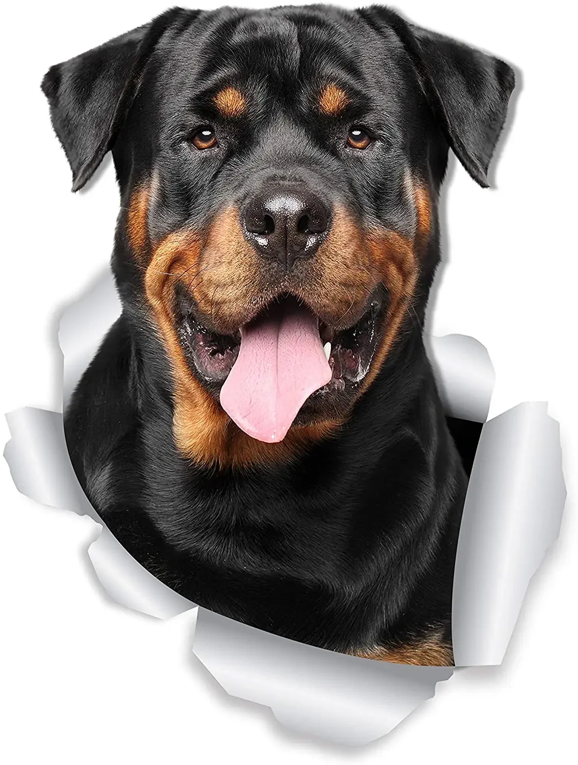 Car sticker Rottweiler dog laptop hand PVC waterproof sunscreen 15cm