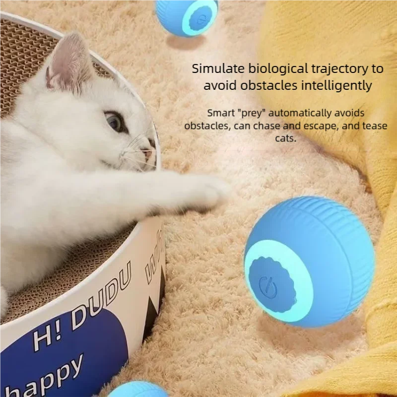 ألعاب القطط الذكية، كرة دوارة  - مراجعة Power Tools Cat وسعره