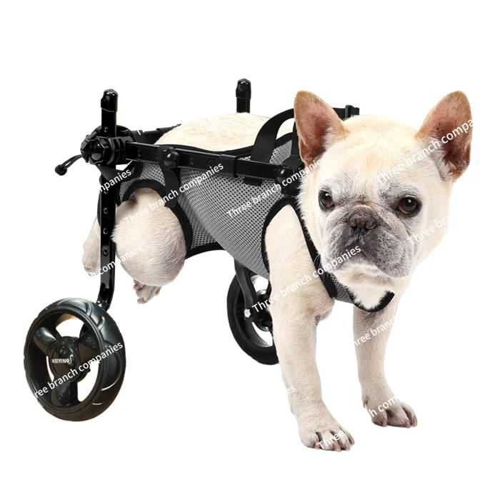 

Wheelchair Small and medium-sized walking assistance vehicle Front and hind legs disabled two-wheeler