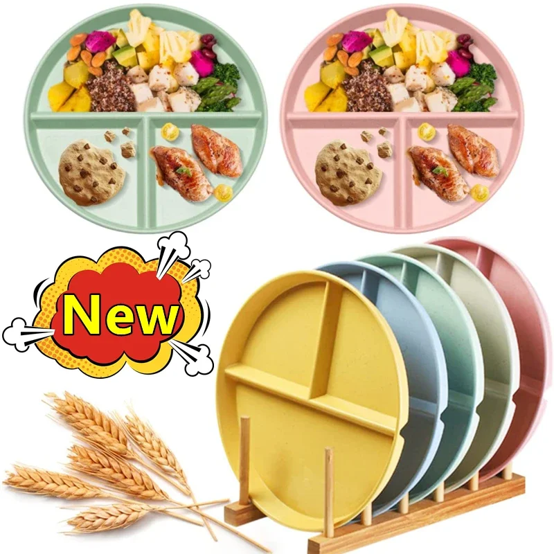 Plate Dish Bariatric Portion Meal Foods Diet Planning Weight Plates Divided Nutrition Loss Lose Serving Snacks Compartment