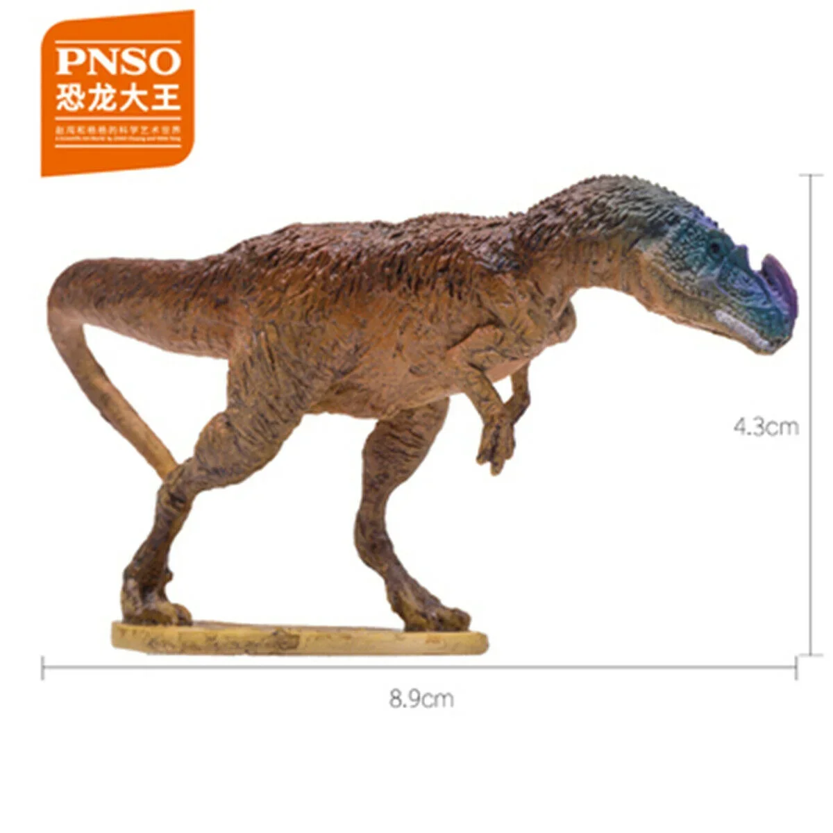 PNSO Ankylosaurus Proceratosaurus Olorotitan Tuojiangosaurus Odontochelys Liaoceratops Dakosaurus Cryolophosaurus Dinosaurier Geschenk