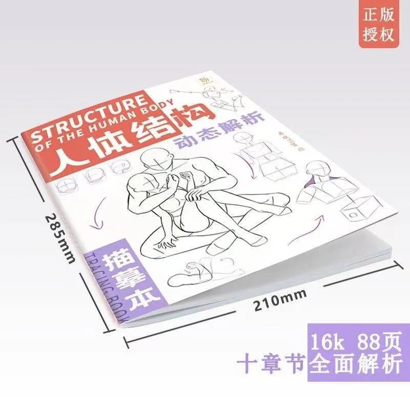 Anime Characters Tracing Sketch Hand Painted Tutorial Book Structure Of The Human Body Copy Practice Line Draft Practice Books