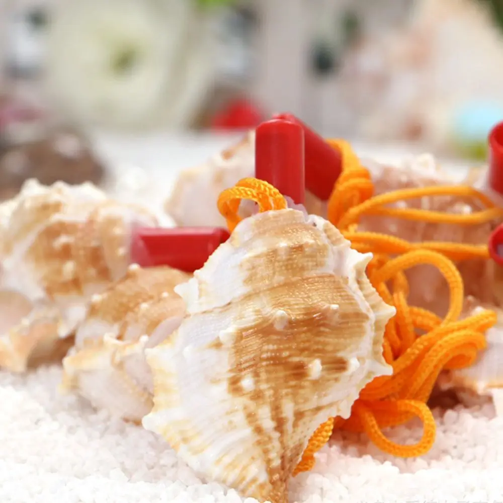 악기 공예 생일 크리 에이 티브 자연 배송 기념품 경적 어린이 선물 장난감 생존 도구 조가비 휘파람