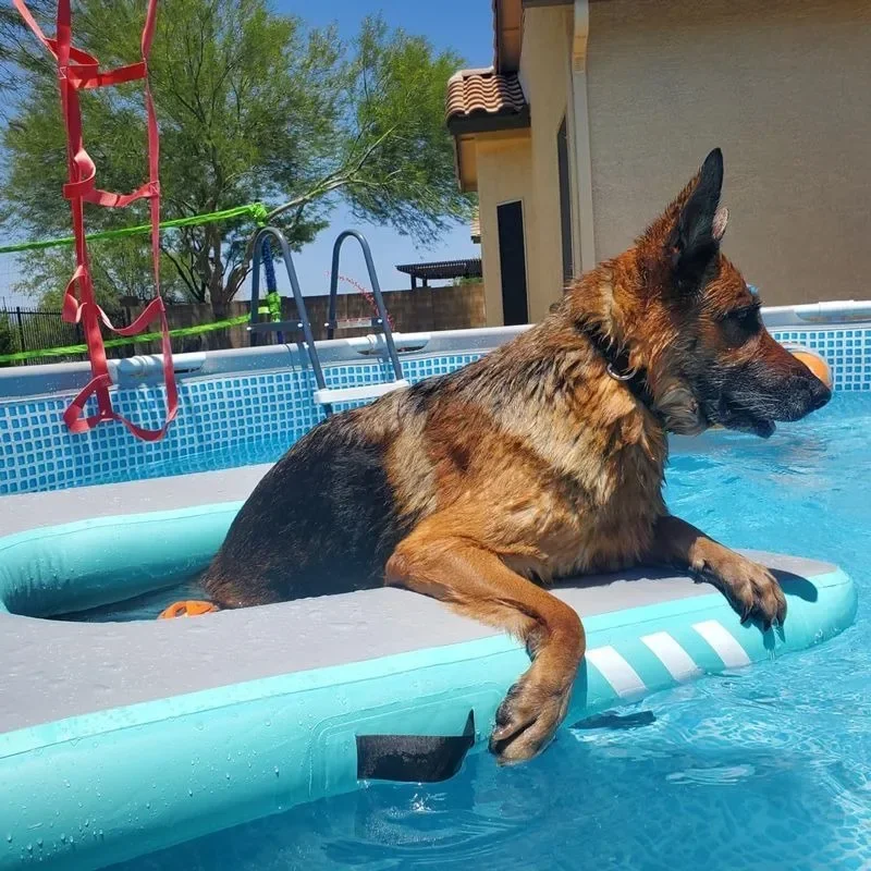 Inflatable Pet Water Floating Board Dog Floating Mat Toy Slope Climb Floating Bed Swimming Pool - view 2
