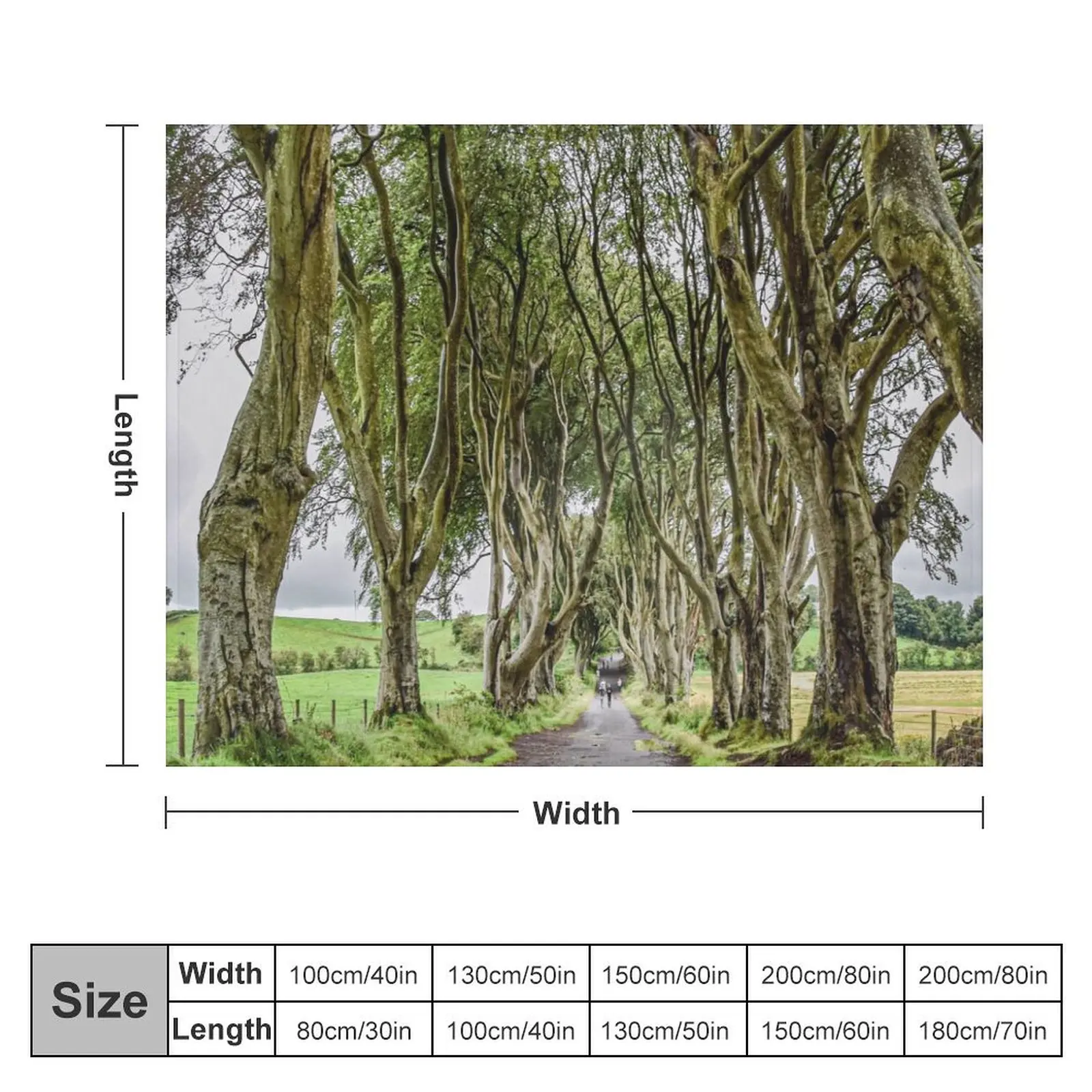 The Dark hedges Northern ireland Throw Blanket Sleeping Bag Picnic Travel manga Blankets