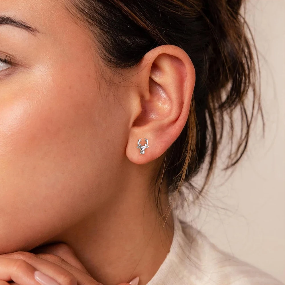 ASTM F136 التيتانيوم دولفين النسر أقراط 16 جرام موضوع داخلي الأذن مربط الغضروف الزنمة الفص محارة اللولب ثقب المجوهرات