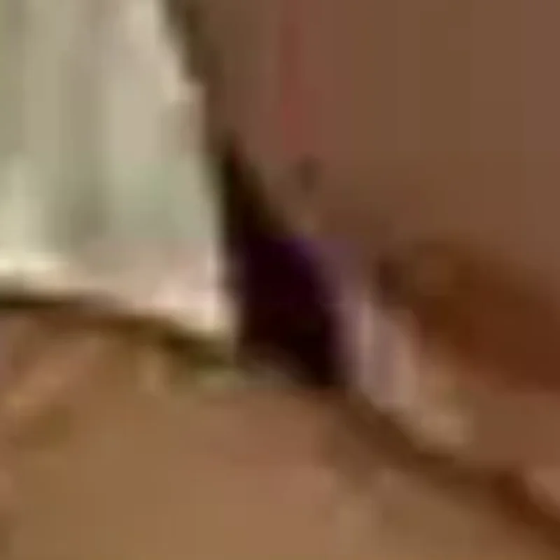 

Милая кружка в форме плюшевой собаки, керамическая чашка и блюдце, обеденный стол, кофейная чашка, кружки для чая с молоком, чашка для послеобеденного чая, контейнер для фруктового сока