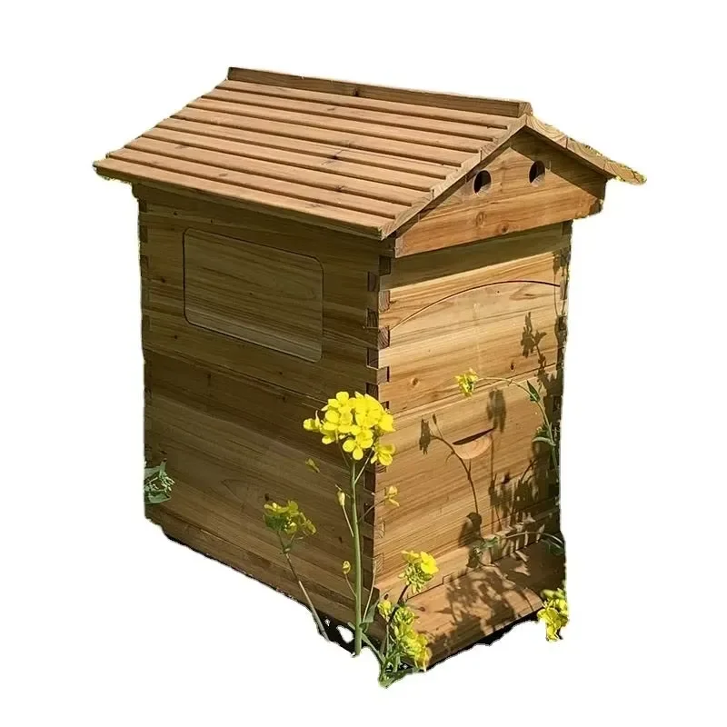 Automatic Wood Bee Hives Auto Frames Apiculture Beekeeping Equipment Tool Beehive Free Flowing Honey Nest Frame Nest Base