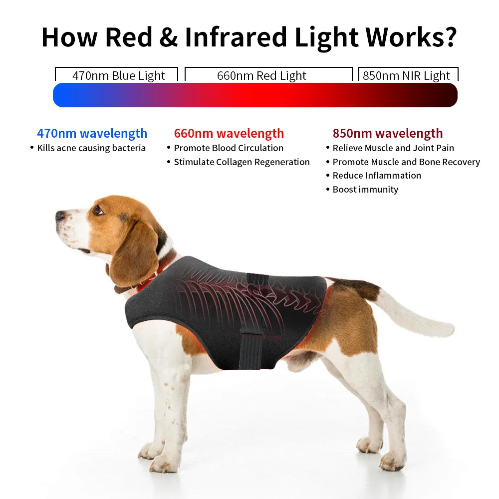 Pet red light therapy belt, LED infrared light therapy, suitable for dogs and cats, equipped with 160 LEDs, wavelengths of 660 n