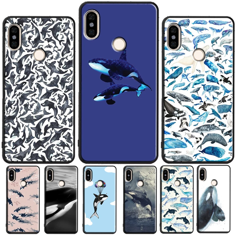 Orcas Killer Whales… - image