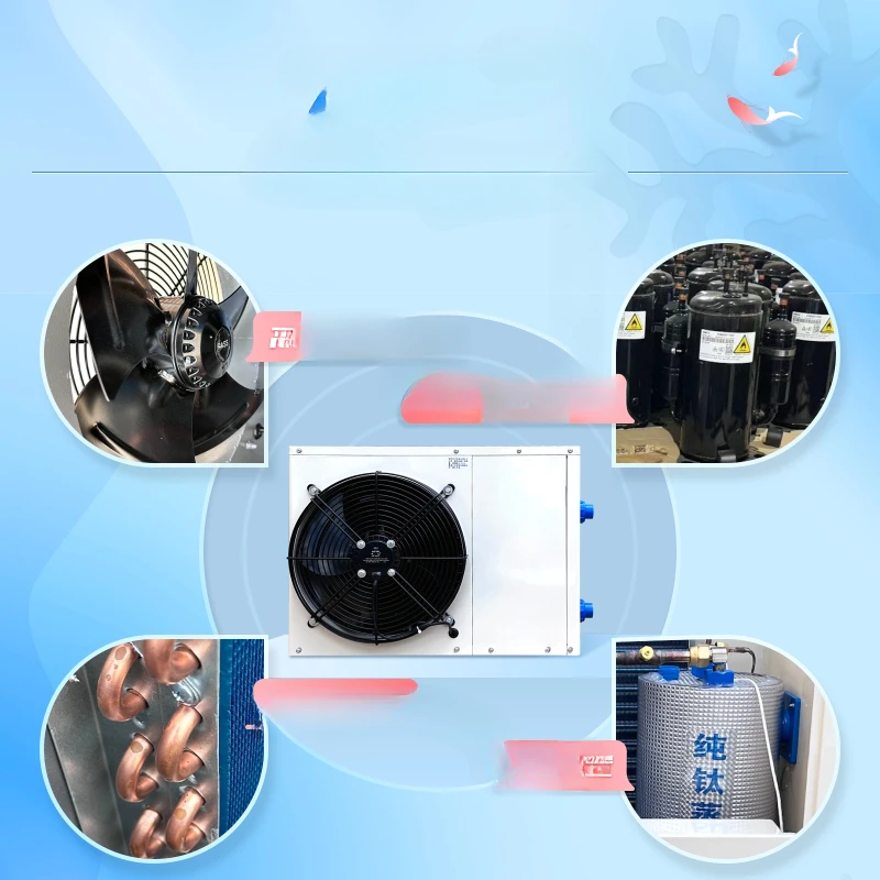 

Fish tank refrigerator, frequency conversion constant temperature seafood chiller, freshwater aquaculture fish pond water