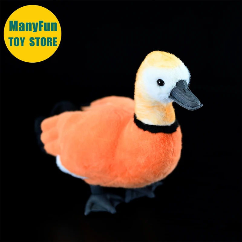 Ruddy Shelduck Plush Toy Realistic Brahminy Duck Plushie Lifelike Wild Duck Stuffed Animal Simulation Toy Gift