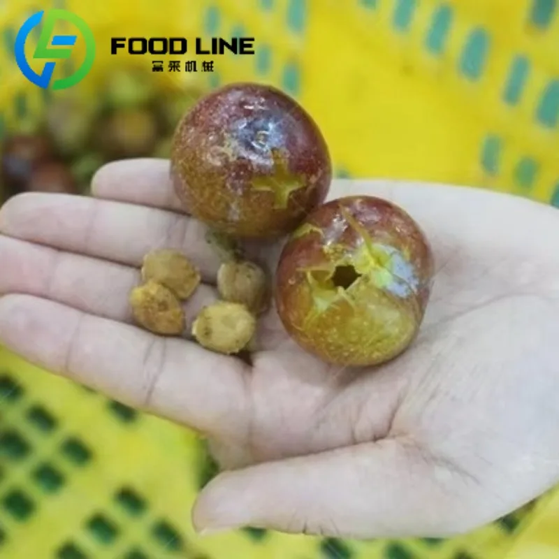 Kommerzielle Prune Core Removal Separating Machine Apricot Amla Seed Destone Pitting Machine Core Pitting Machine Dates Olive