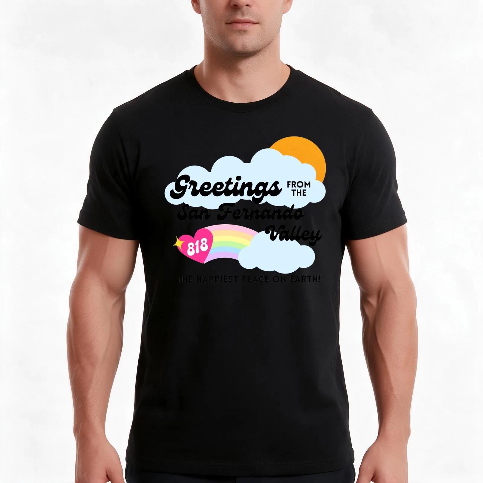 Greetings From the San Fernando Valley Valley T-Shirt, Summer Casual Cotton Tee, Oversized Streetwear Tops, Unisex Men Women