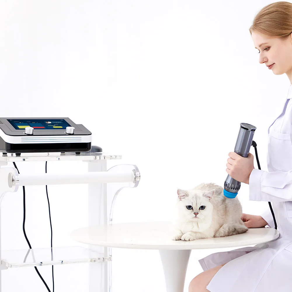 Portable Eswt Shockwave Therapy Machine Shock Wave Physiotherapy For Pain Relief In Animals