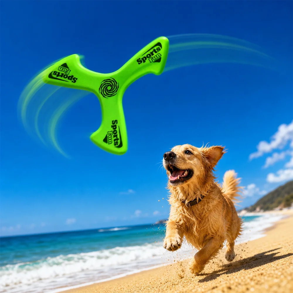 Outdoor Interactive Dog Boomer - đánh giá và giá Flying Disc Dog Training Toy