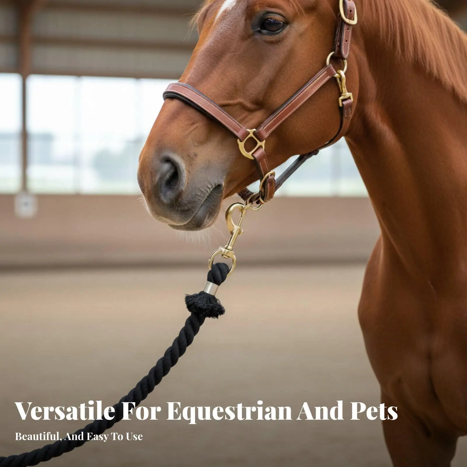Comfortable Grip Horse Halter Rope for Leading Training and Farm Use Rust Resistant Copper Snap for Quick Connect