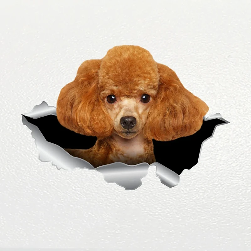 

V1137# Car Sticker Poodle Dog Pet Waterproof Vinyl Decal Car Accessories Decor Pegatinas Para Coche